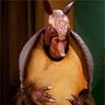 Armadillo Navideño profil fotoğrafı