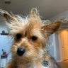 Profilbild von PabloHoney28