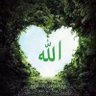 يالله's profile picture