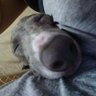そらかあちゃん's profile picture