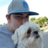 Profilbild von Curtiss