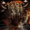 جاكــ jaguar ــــور 🇸🇦 的头像