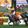 Фото профиля Hong Kong Racing Live