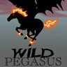 Фото профиля WildPegasus13Art 🔞