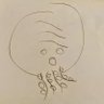 まーの's profile picture