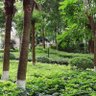 Фото профиля 稻草人