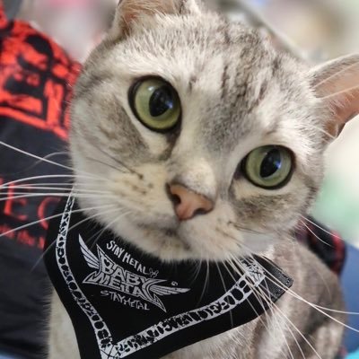 イズミィじえんど🍣's profile picture