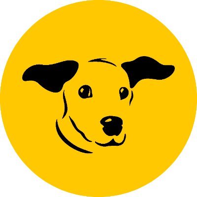 Dogs Trust Ireland's profile picture