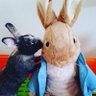 Profilbild von もこちゃん🐰とふくちゃん👩