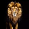 SagarShete profil fotoğrafı