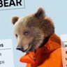 Фото профиля Dog Bear Wolf Thing