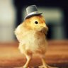 pinto de cartola's profile picture