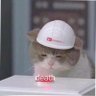 nɒiʜtƨiɿƆ's profile picture