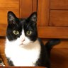 Фото профиля じゅんこみなみ8