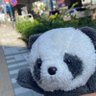 きいちゃん🐼🥤🍓☺︎'s profile picture
