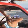 Gator_tx 的头像