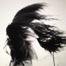 Wilde Hilde / - {2+4} profil fotoğrafı