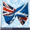 williamhamilton 🏴's profile picture