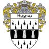 higgy🇮🇪🏴🏴💜💙🦁's profile picture
