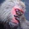Matthew Coussell's profile picture