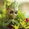 Iamgroot's profile picture