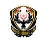 AphonicTX 的头像