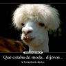 gabriel alberto gonz profil fotoğrafı