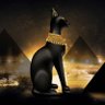 Bastet 的头像