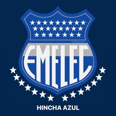 Hincha_Azul's profile picture