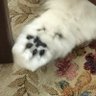 すずさん 的头像