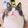 mk's profile picture