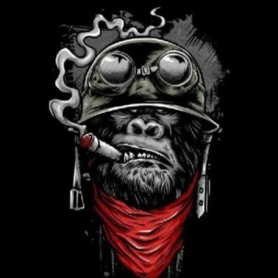 Monkey™'s profile picture