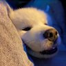 James Chen's profile picture