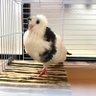 ららこ 的头像