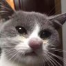 Michi Picado's profile picture