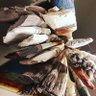 Profilbild von cloth rot