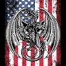Pendragon 🇺🇸🇺🇸🇺🇸 (Pendragon) 的头像