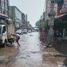 Nangloi_welfare 的头像