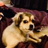 RileyBear 的头像