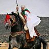 ابو الحسن والحسين 🇩🇿 🇩🇿 🇩🇿's profile picture