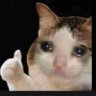 Profilbild von Antelopezz