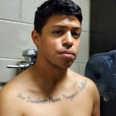BluexCollarxCub's profile picture