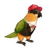 Alex Ume's profile picture