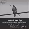 Profilbild von الجوكر