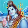 योगी🚩शिवप्रसाद's profile picture