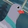 Profilbild von Pigeon