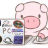 Kas profil fotoğrafı