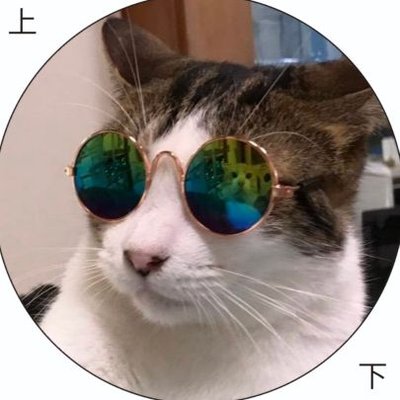 noraneko_tasuke's profile picture