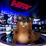 Фото профиля Canadian Beaver