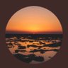 فلاح الحربي's profile picture